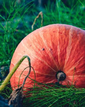 MeezabZ International